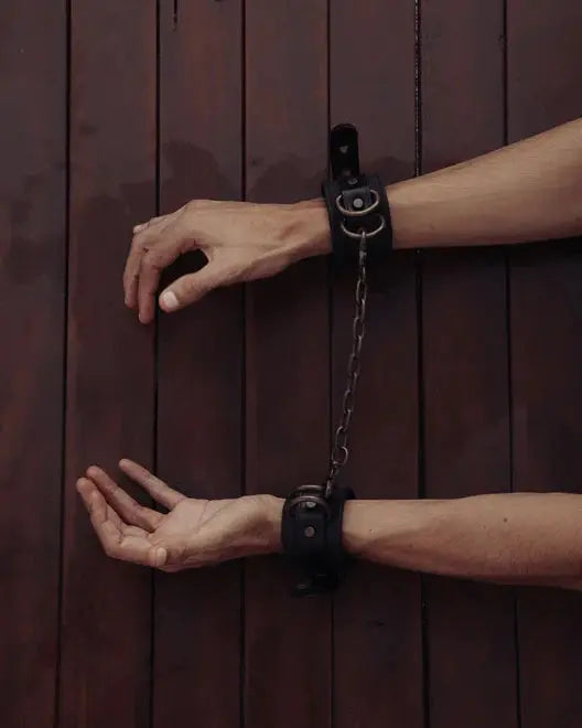 SVAKOM Real Leather BDSM
